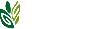 logo ParksBiz